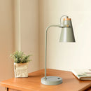 Green desk lamp on a wooden surface with a plant and book in the background