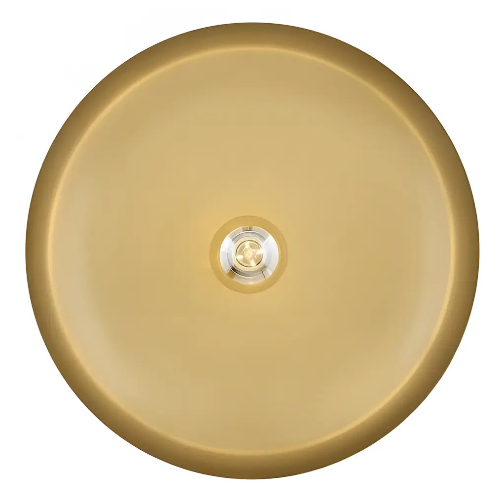 Gold circular object with a central feature on a white background